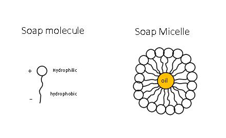 How Soap works with coronavirus