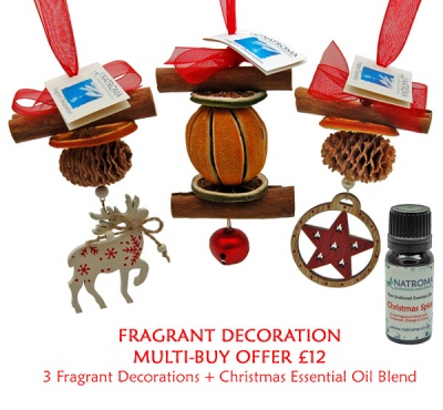 Christmas Fragrant Decoration