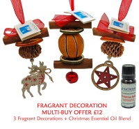 Christmas Fragrant Decoration