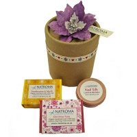Christmas Natural Soap & Balm Gift Set