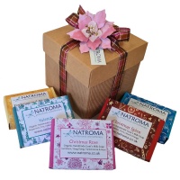 Organic Christmas Soap Gift